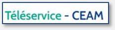 Lien vers LE T2L2SERVICE ceam